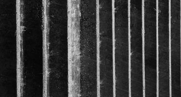 Cold-drawn-round-steel-bars