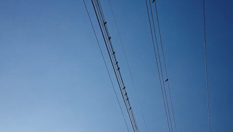 Bright-wire-features