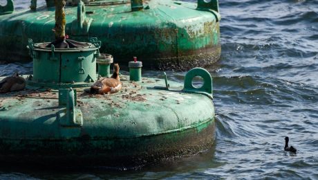 Casing-and-tubing-in-oil-gas