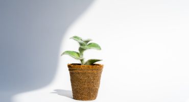 Continuous-improvement-culture