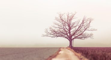 Continuous-improvement-culture