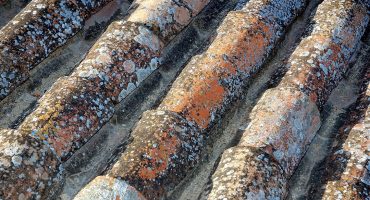 Corrosion-resistance-of-galvanized-steel