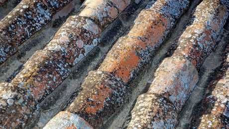 Corrosion-resistance-of-galvanized-steel