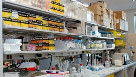 Pipe-selection-for-chemical-plants