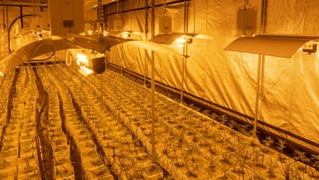 Pipe-selection-for-chemical-plants