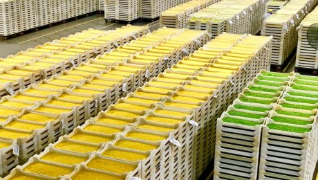 Product-traceability-in-manufacturing