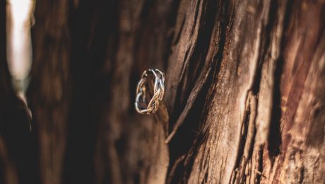 Ring-nails-in-wooden-structures