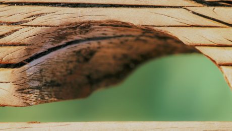Ring-nails-in-wooden-structures