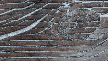 Ring-nails-in-wooden-structures