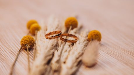 Ring-nails-in-wooden-structures