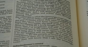 net-terms