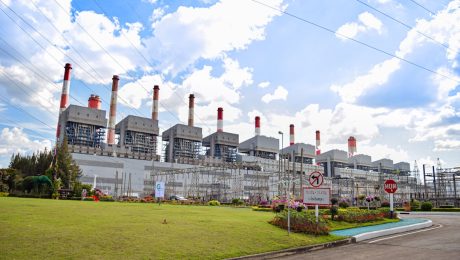 000-tonyear-production-capacity