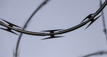 Bright-wire-features