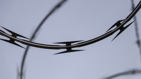 Bright-wire-features