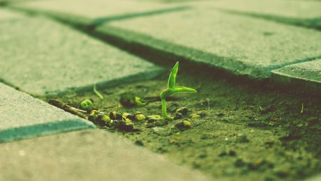 Culture-of-continuous-improvement