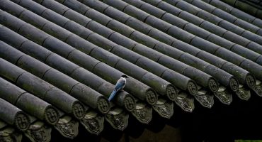 Net-zero-targets-in-steel-production