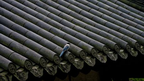 Net-zero-targets-in-steel-production