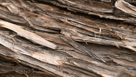 Ring-nails-in-wooden-structures