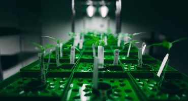 Zero-defect-production-goals
