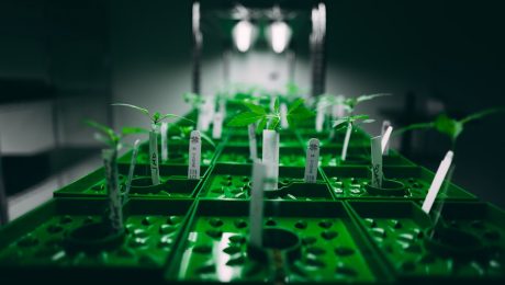 Zero-defect-production-goals